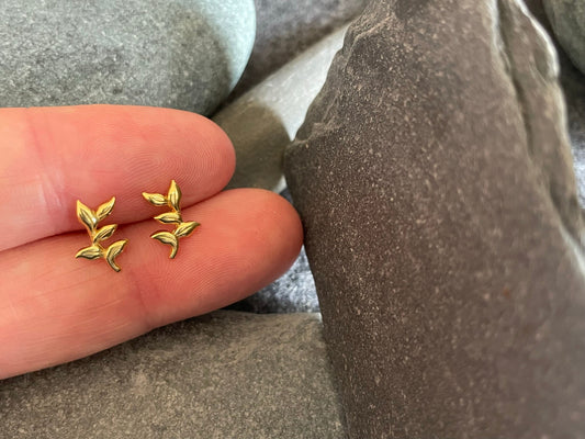 Branch - 925 Sterling Silver Stud Earrings (Gold) - Boxed