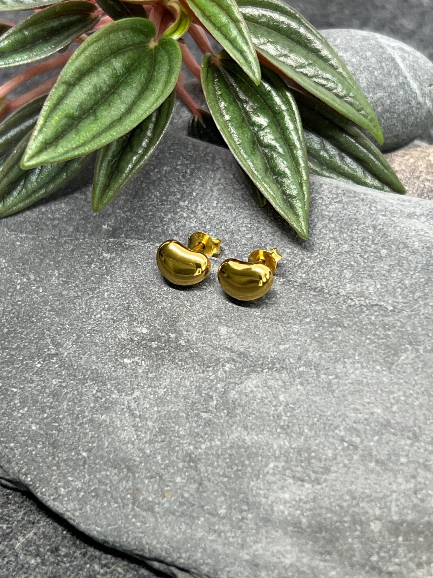 Gold Pebbles - 925 Sterling Silver Stud Earrings - Boxed